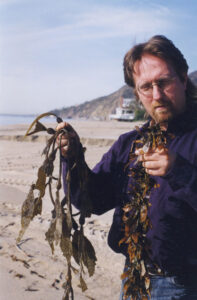 Guide to Edible Seaweed Image